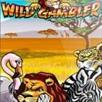 Wild Gambler